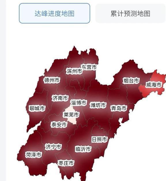 山东省疫情最新消息全面解读与分析