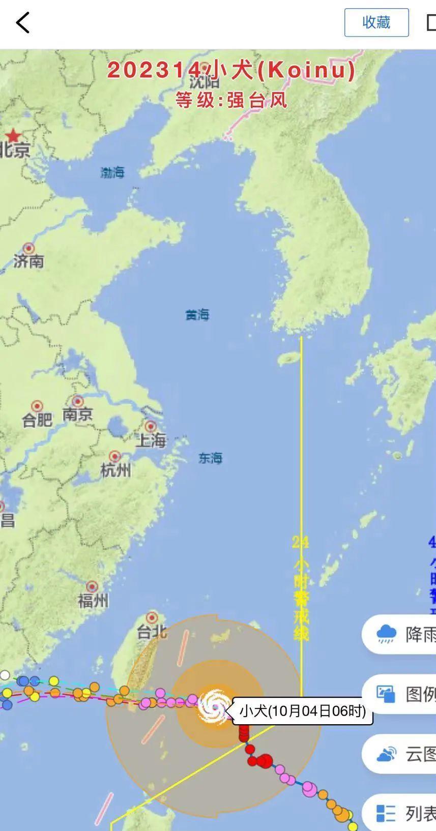 今年台风最新动态及其影响深度分析