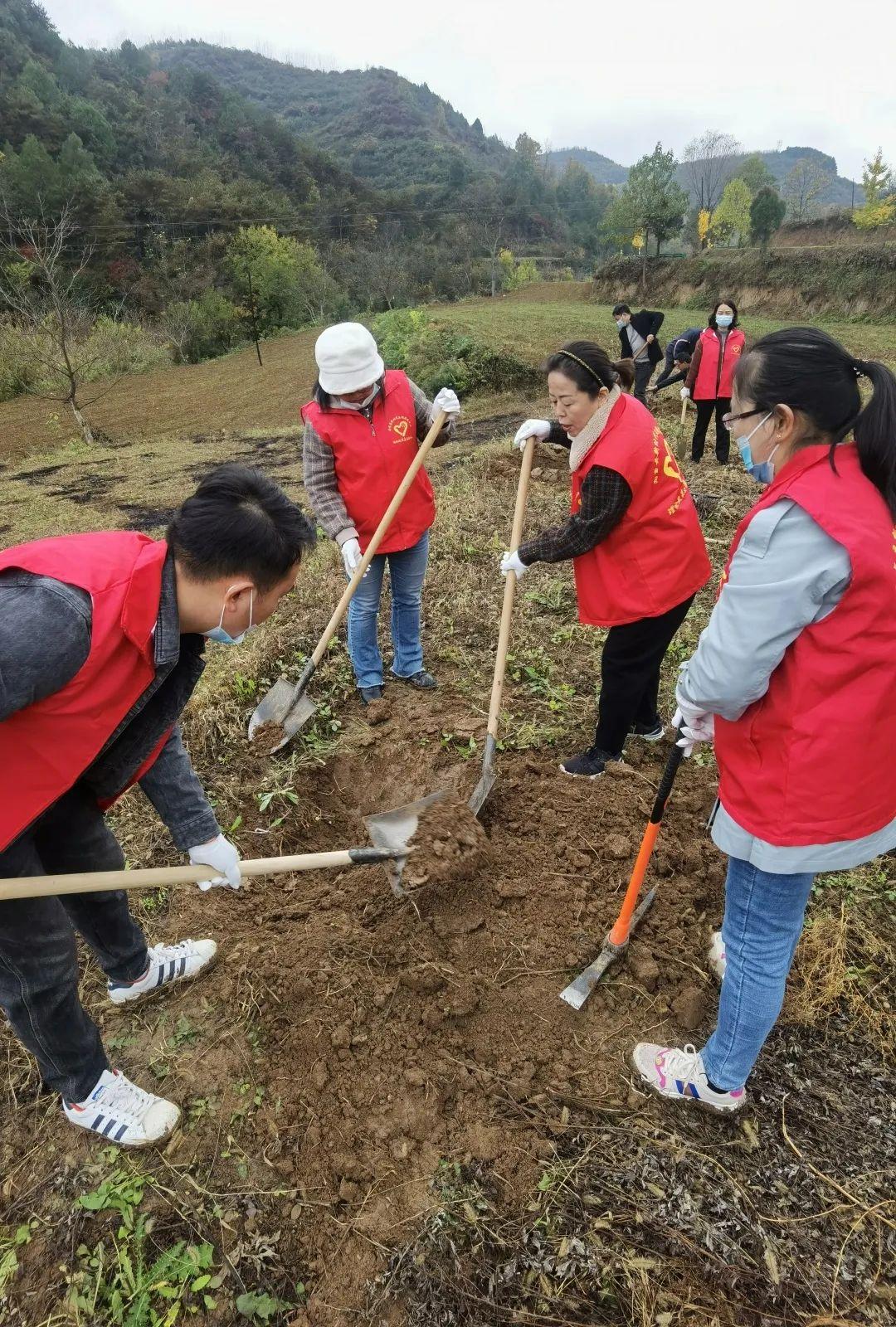 两当县自然资源和规划局新项目推动地方可持续发展与生态保护协同前行