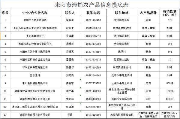 耒阳市科学技术和工业信息化局领导团队概览