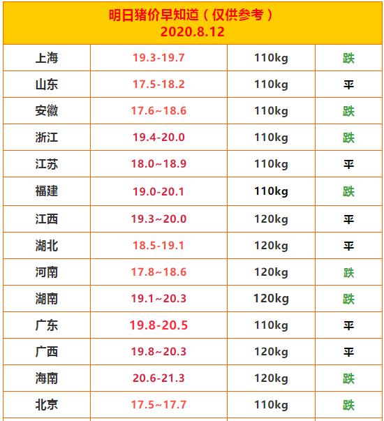 科技巨头发布重磅产品，引领未来趋势发展新闻速递