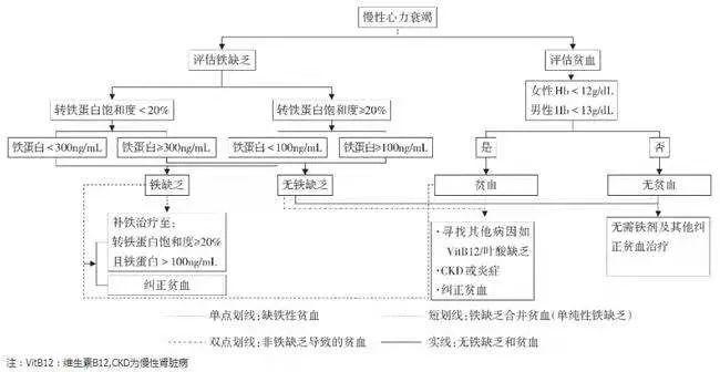 最新贫血分级标准详解