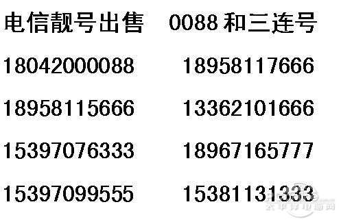 电信最新号段，引领通信新时代的启航号角