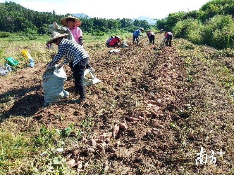 封开县交通运输局领导团队全新亮相，工作展望与未来规划